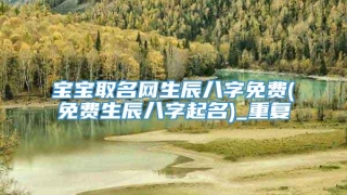 宝宝取名网生辰八字免费(免费生辰八字起名)_重复