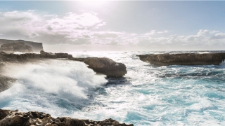 梦到老鼠咬我(自己属老鼠又梦到老鼠)