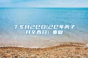 丁亥月己巳日(己巳年丙子月辛酉日)_重复