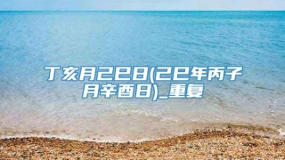 丁亥月己巳日(己巳年丙子月辛酉日)_重复