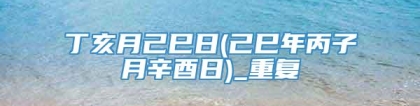 丁亥月己巳日(己巳年丙子月辛酉日)_重复