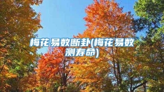 梅花易数断卦(梅花易数测寿命)