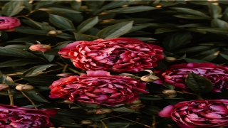 带慕字的男孩名字(慕姓男孩名字要霸气)