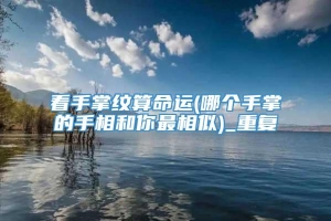 看手掌纹算命运(哪个手掌的手相和你最相似)_重复
