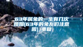 63年属兔的一生有几次婚姻(63年的兔友们注意啦)_重复