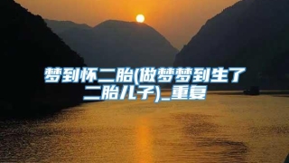 梦到怀二胎(做梦梦到生了二胎儿子)_重复