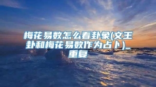 梅花易数怎么看卦象(文王卦和梅花易数作为占卜)_重复