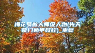 梅花易数大师级人物(先天奇门遁甲教程)_重复