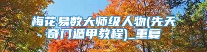 梅花易数大师级人物(先天奇门遁甲教程)_重复
