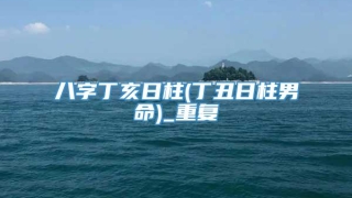 八字丁亥日柱(丁丑日柱男命)_重复