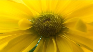 带基字光彩好名字(带基字的名字含义)