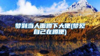 梦到当人面蹲下大便(梦见自己在蹲便)