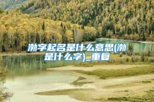 渤字起名是什么意思(渤是什么字)_重复