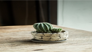 八字测打工还是创业(八字有食神好吗)