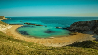 69年属什么生肖多大了(69年属鸡今日运势明日运势)_重复