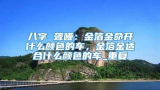 八字 聋哑:金箔金命开什么颜色的车,金箔金适合什么颜色的车_重复