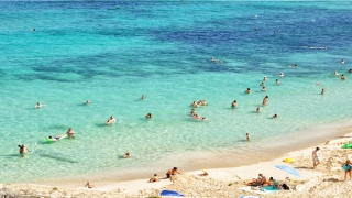 带佳字的男孩名字100分(佳字代表什么)