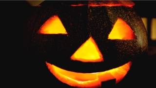 87年属啥命(聪明的金日磾)