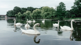 洁梦徐(梦洁是哪里的)