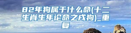 82年狗属于什么命(十二生肖生年论命之戌狗)_重复