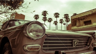 2014年是什么生肖(2011生肖运势大解析)_重复