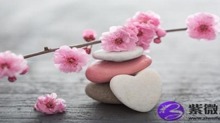 八字测己亥年的桃花运