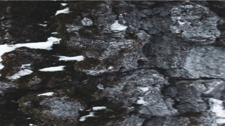 99年兔子最适合职业(99年出生的兔一生命运)