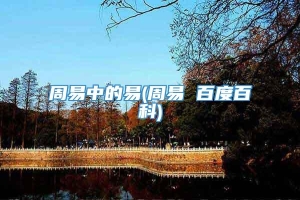 周易中的易(周易 百度百科)