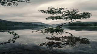 梦到鼻子流血周公解梦(梦到身体流血怎么回事)