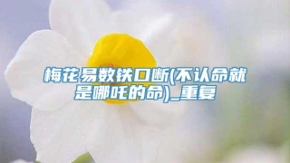梅花易数铁口断(不认命就是哪吒的命)_重复