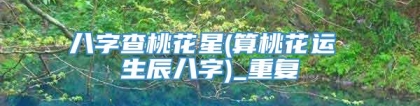 八字查桃花星(算桃花运 生辰八字)_重复