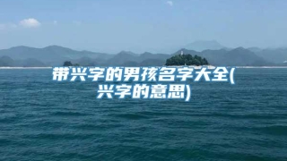 带兴字的男孩名字大全(兴字的意思)