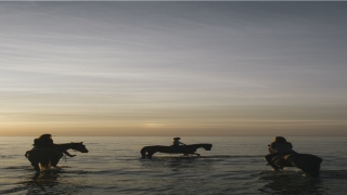 87年属兔的属相婚配表(87属兔幸运色和幸运数字)