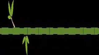 比喻的翻译(比喻的意思和解释)