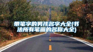 带笔字的男孩名字大全(书法所有笔画的名称大全)