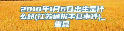 2018年1月6日出生是什么命(江苏通报丰县事件)_重复