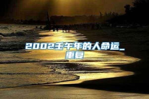 2002壬午年的人命运_重复