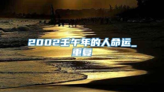 2002壬午年的人命运_重复