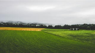 曾经沧海难为水的意思(唐朝诗人元稹曾经沧海难为水)