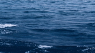 八卦象数风水学秘笈(八卦如何起卦真有这么难吗)