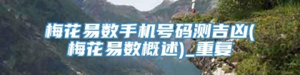 梅花易数手机号码测吉凶(梅花易数概述)_重复