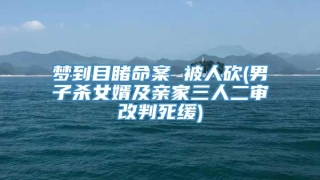 梦到目睹命案 被人砍(男子杀女婿及亲家三人二审改判死缓)