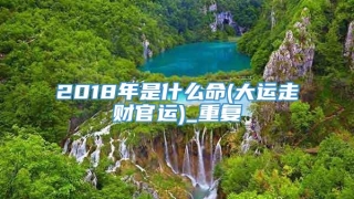 2018年是什么命(大运走财官运)_重复