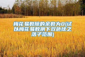 梅花易数除的余数为0(试以梅花易数测下双色球之落子范围)