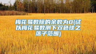 梅花易数除的余数为0(试以梅花易数测下双色球之落子范围)