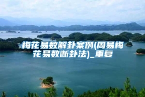梅花易数解卦案例(周易梅花易数断卦法)_重复