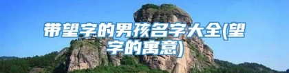 带望字的男孩名字大全(望字的寓意)