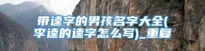 带逵字的男孩名字大全(李逵的逵字怎么写)_重复