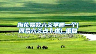 梅花易数六爻学哪一个(周易六爻占卜术)_重复