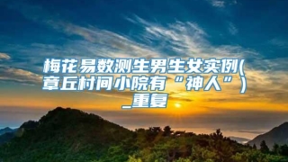 梅花易数测生男生女实例(章丘村间小院有“神人”)_重复